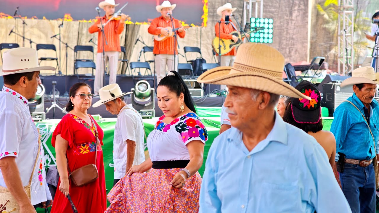 EN VIVO 🔴 DOMINGO DE HUAPANGO EN XILITLA 🇲🇽 | 15 MARZO 2026 🔥 JILGUEROS DE GONZÁLEZ