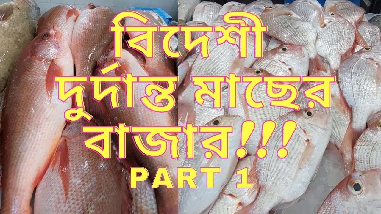 আরব সাগরের মাছ বাজার - Sea Fish Market, Sharjah - Part 1-By Zia