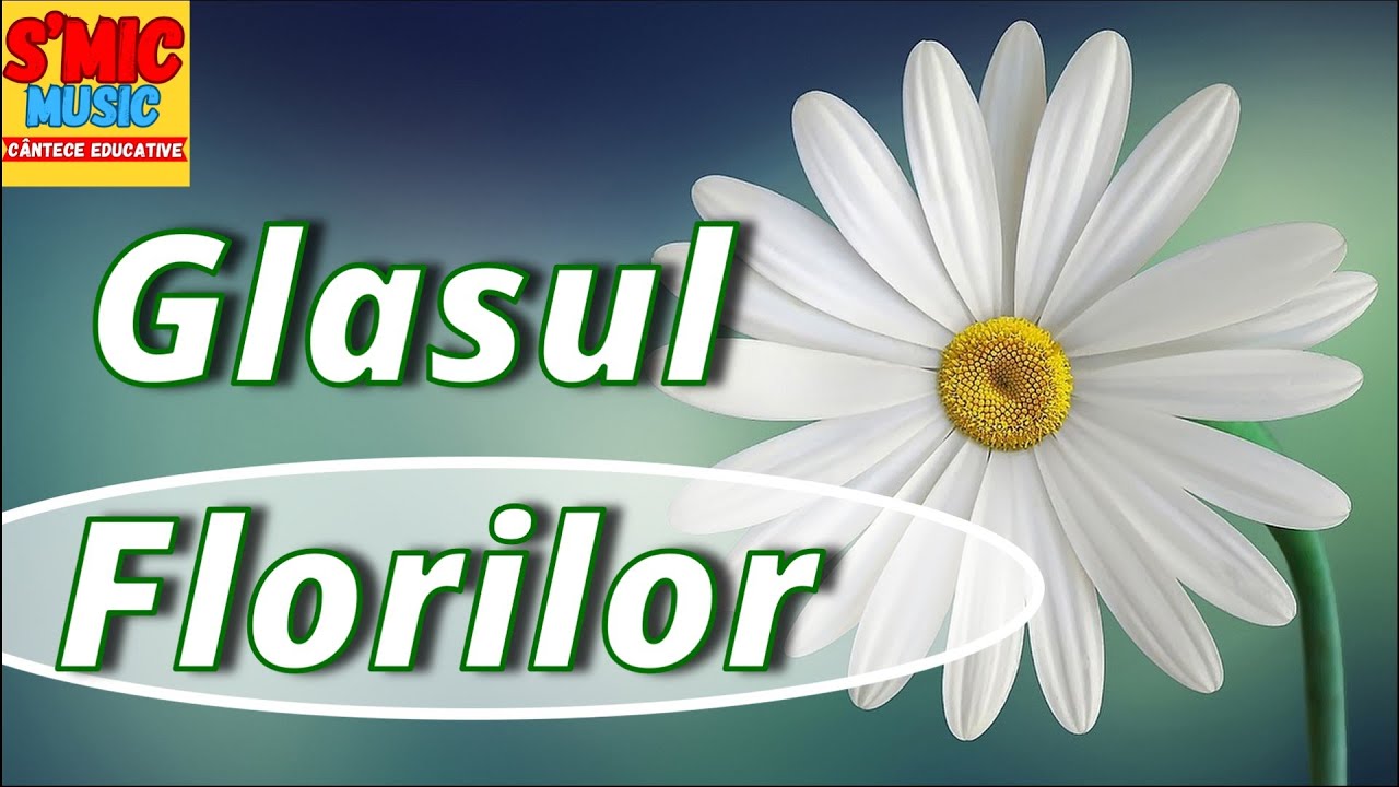 Glasul florilor -  S'Mic Music -Cantec primavara - Cantec despre flori