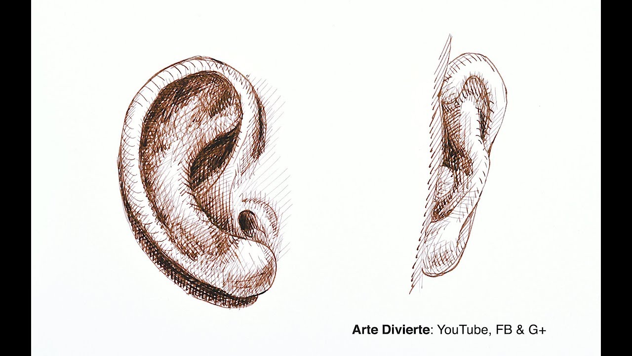 Cómo dibujar una oreja con pluma fuente
