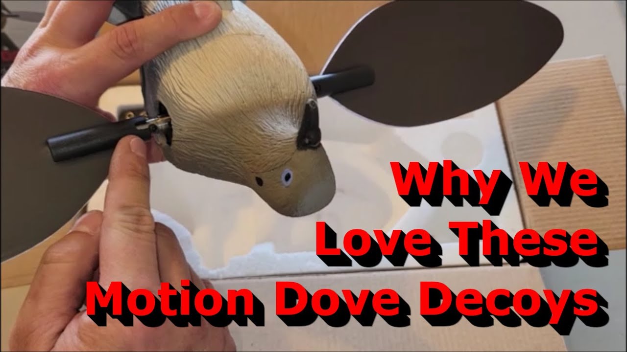 Лучшая приманка для голубя, которую вы можете получить! — Mojo Outdoors Voodoo Dove Decoys