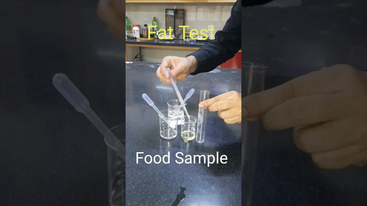 Fat Test |😂|#shorts#scienceexperiment #experiment #biology