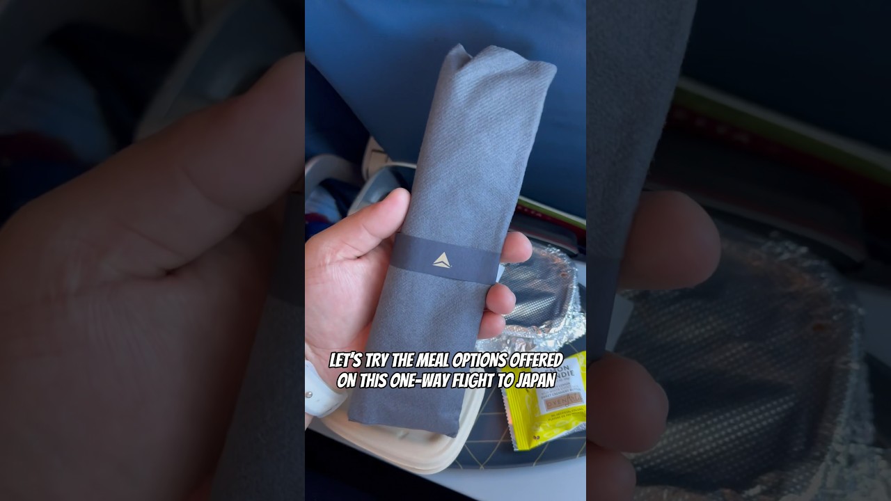 DELT AIRLINES FOOD WAS NOT GIVING 🥲 #delta #directflight #japan #airlines #food #airplanefood