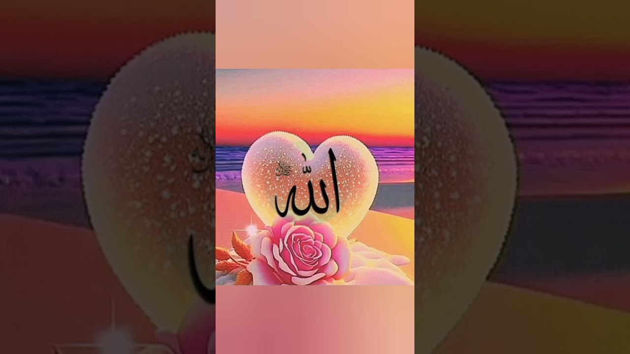 Islamic dpz collection❤️ || Allah Muhammad name dp images for WhatsApp |Beautiful |dpzlovers #Allah