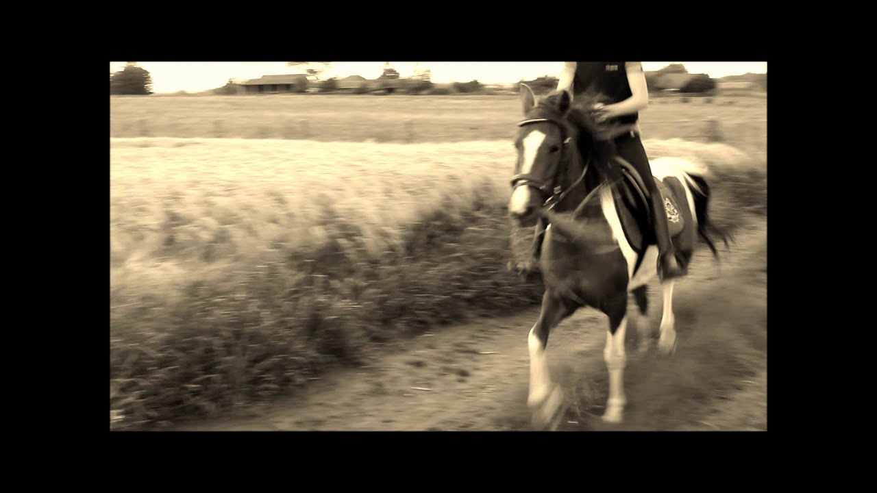 L'équitation , une passion , un combat !!!