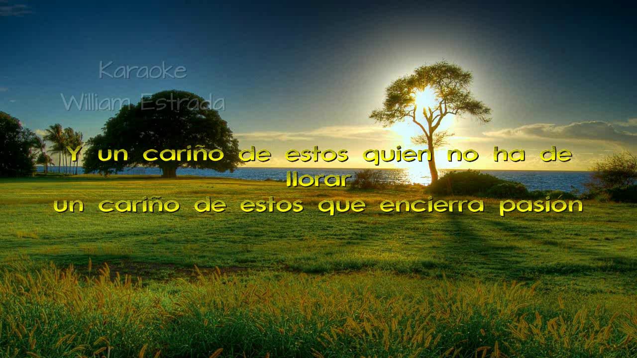A Un Cariño Del Alma - Diomedes Díaz - Karaoke Instrumental