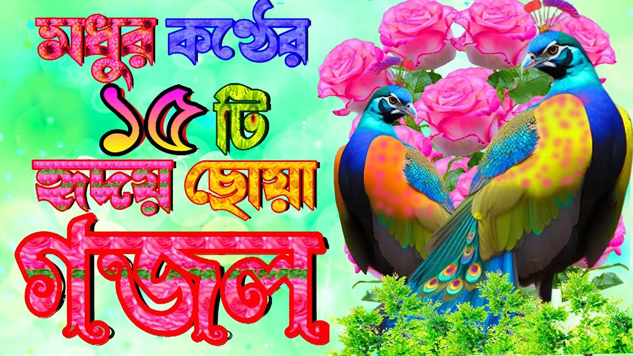 মধুর কন্ঠের ১৫ টি গজল |শুনুন জিবন বদলে যাবে ইনশাআল্লাহ |Selected Gojol | Islamic Bangla Gojol 2024