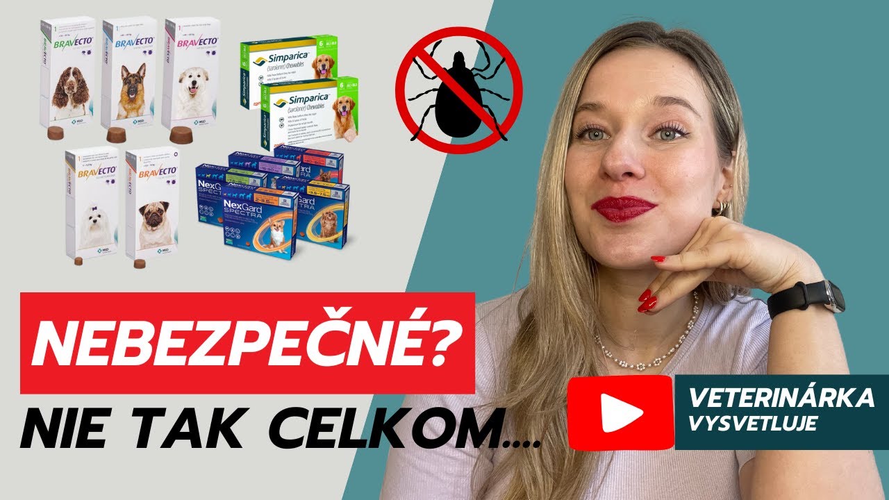 Tablety proti kliešťom – sú pre psov bezpečné? 🐶