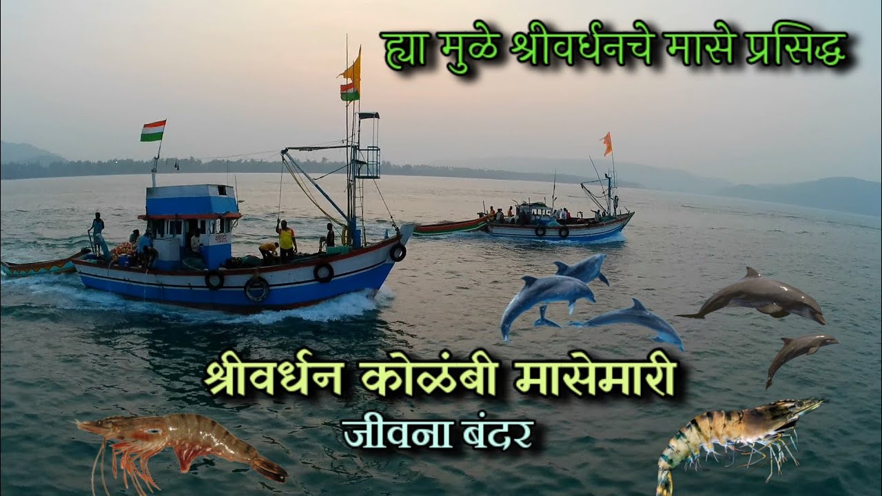 Prawns Fishing In Kokan | कोकणातील कोळंबी मासेमारी | श्रीवर्धन | Shrivardhan