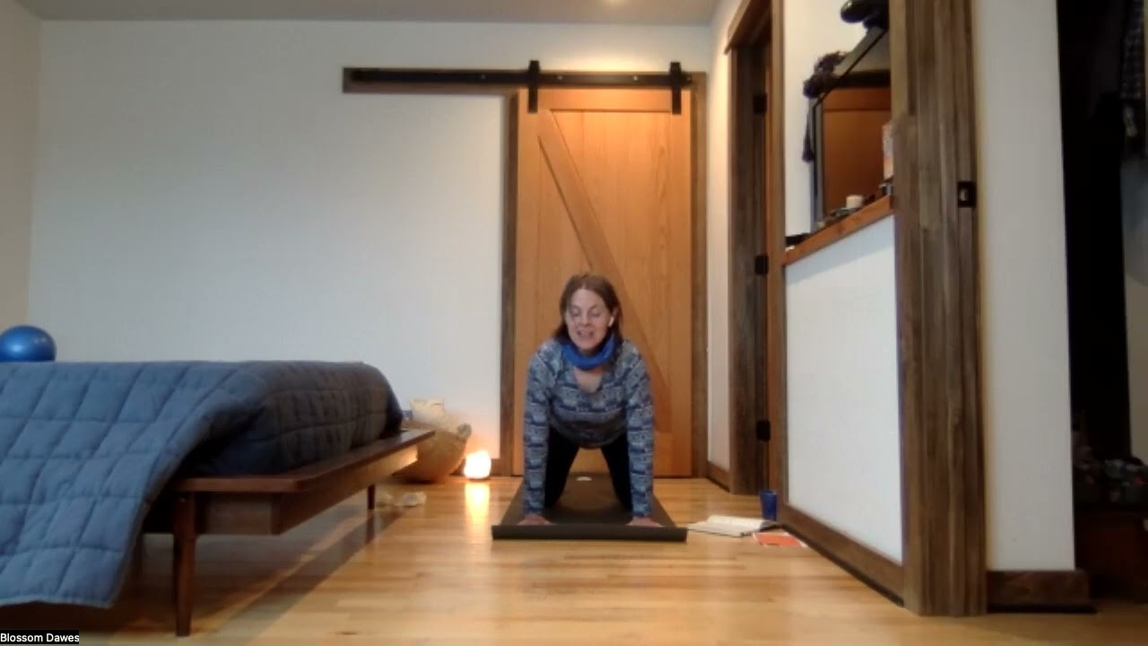 Monday 12/8. 1 Hour yoga practice.
