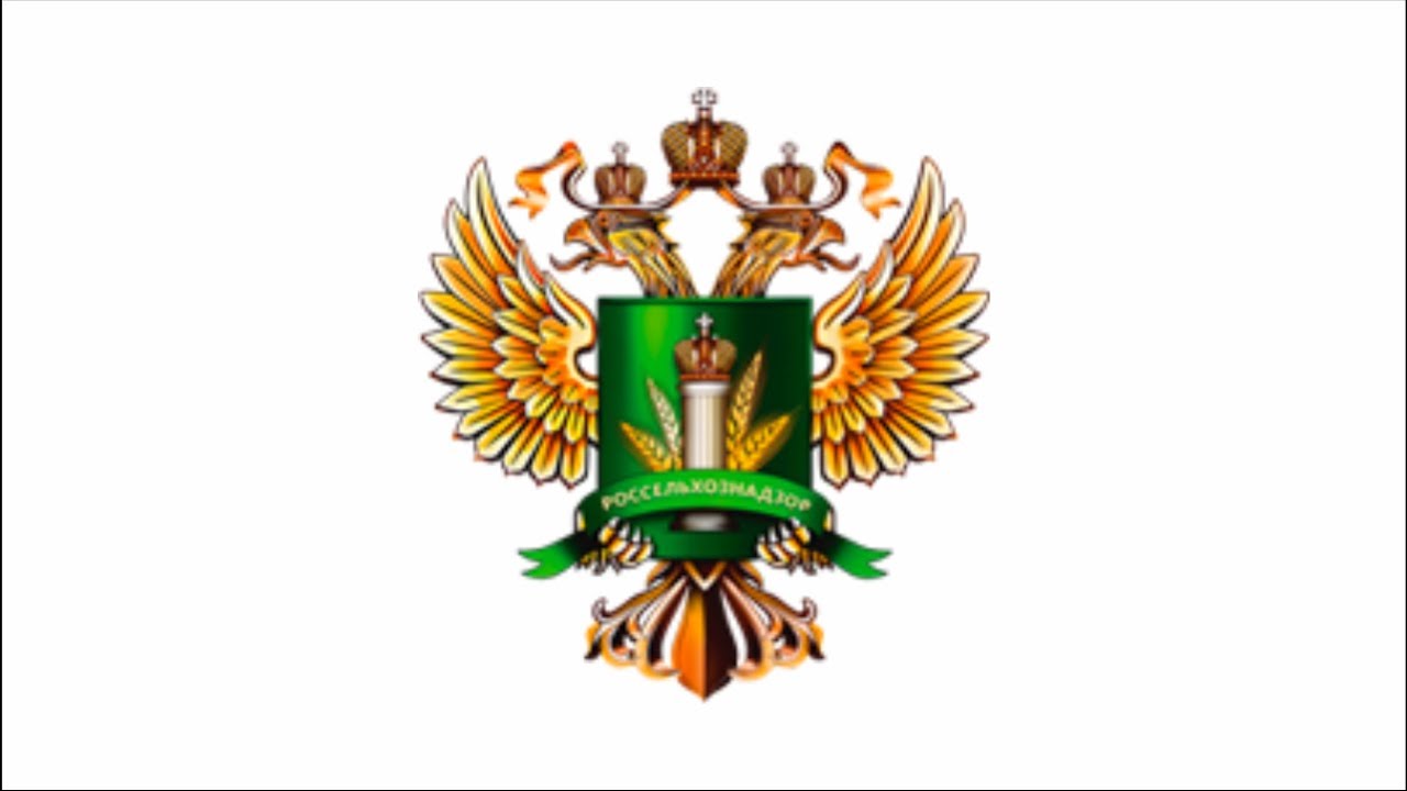 Лейкоз КРС: эпизоотическая ситуация, профилактика, особенности наложения ограничительных мероприятий