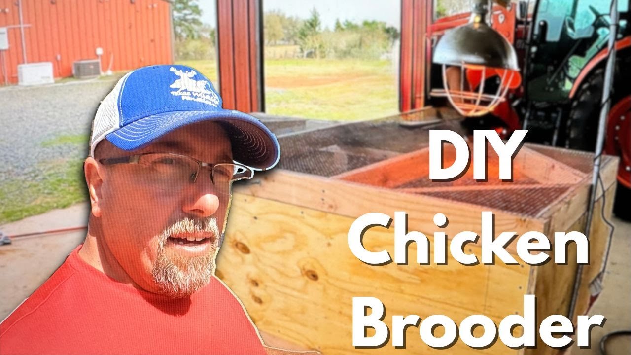 “Ultimate DIY Chick Brooder: Heres How To Build It!”