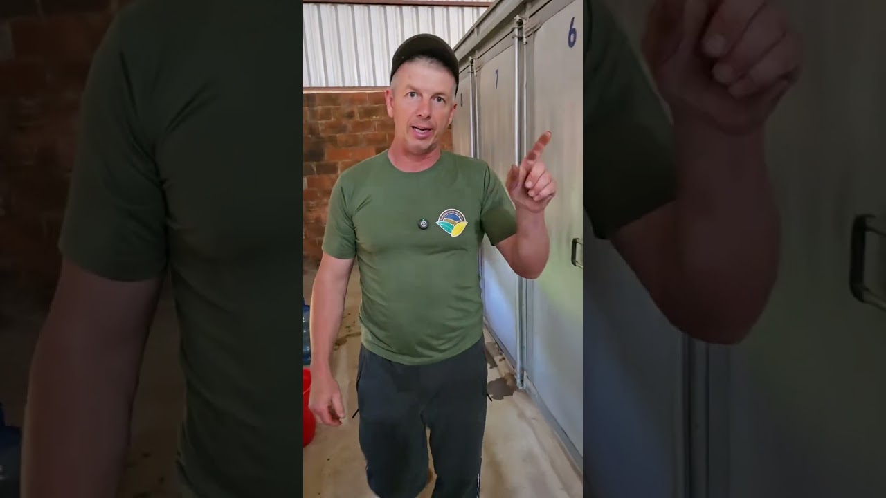 Giovane mostra como são os primeiros dias de uso da carga contínua 