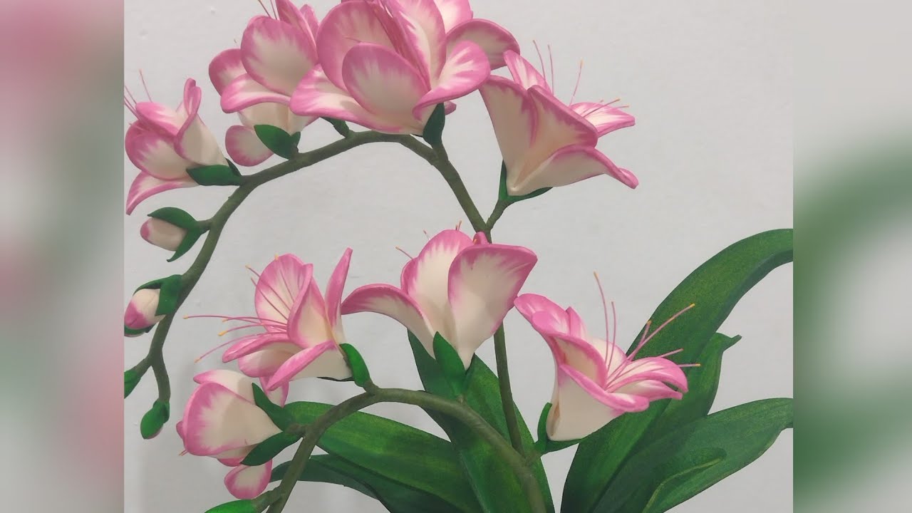 orquídea frésia em Eva passo a passo