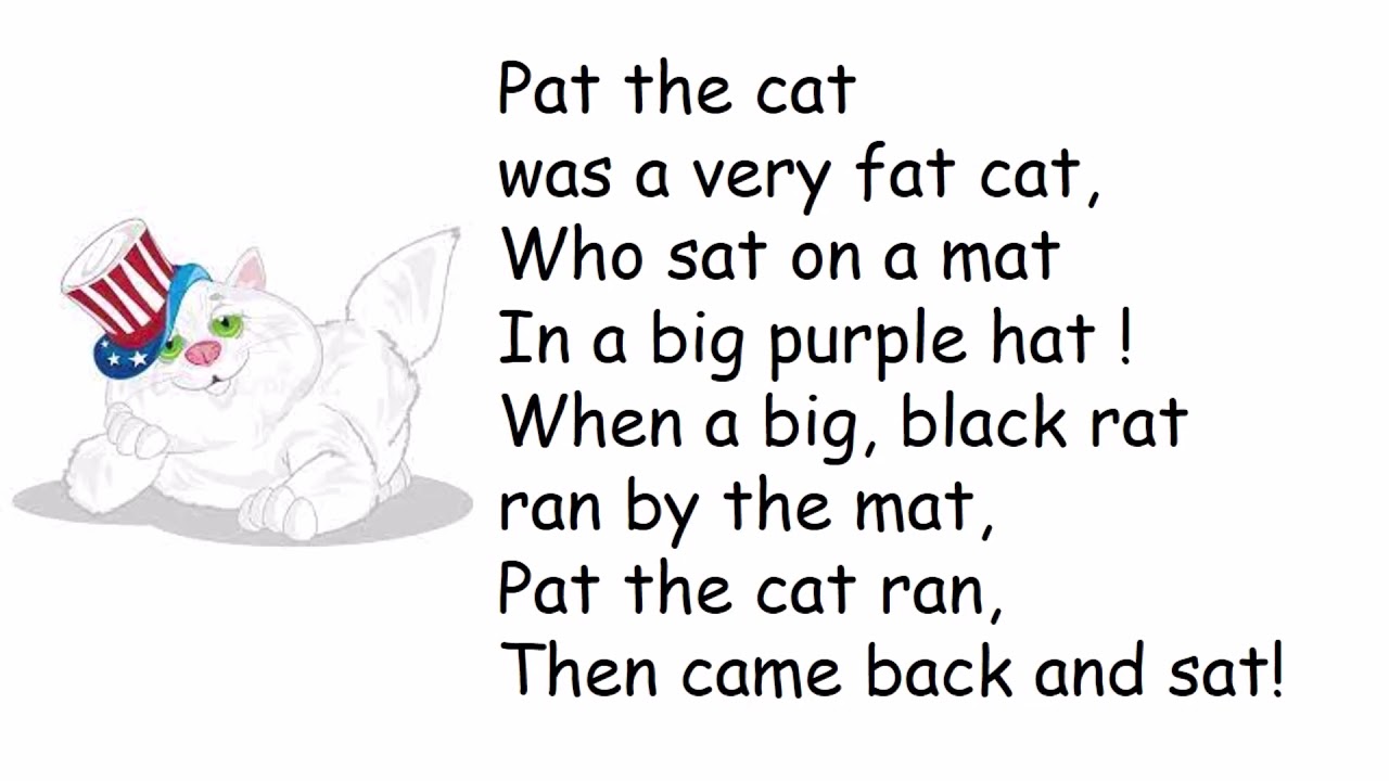 Pat the cat