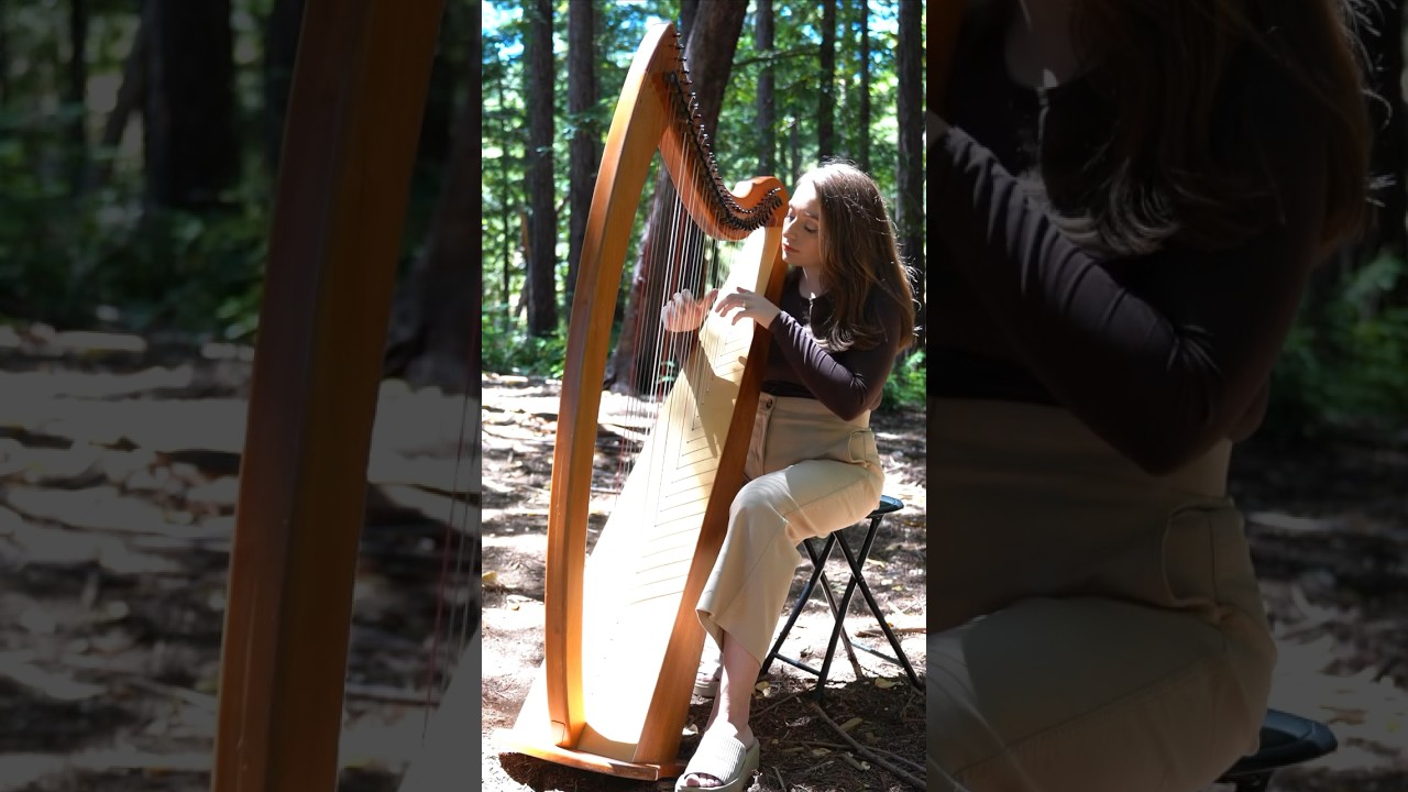 Relaxing Harp Music in the Forest #relaxingmusic #harp #harpa #healing  #calm #soothing #music