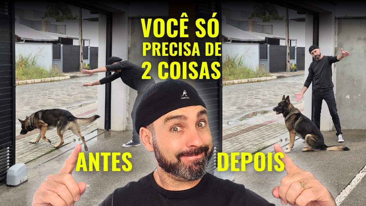ENSINE seu cachorro NÃO FUGIR PELO PORTÃO com essa SUPER TÉCNICA