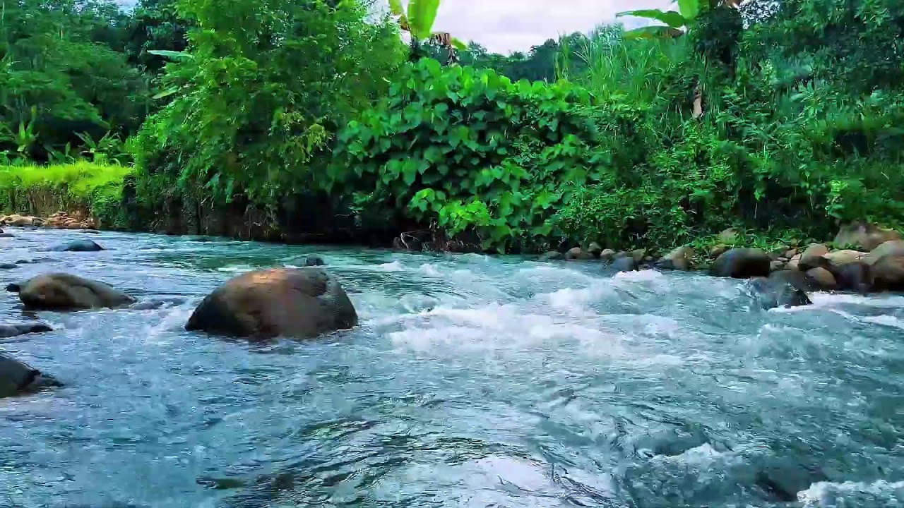 Peaceful River Sound White Noise for Better Sleep & Anxiety Relief