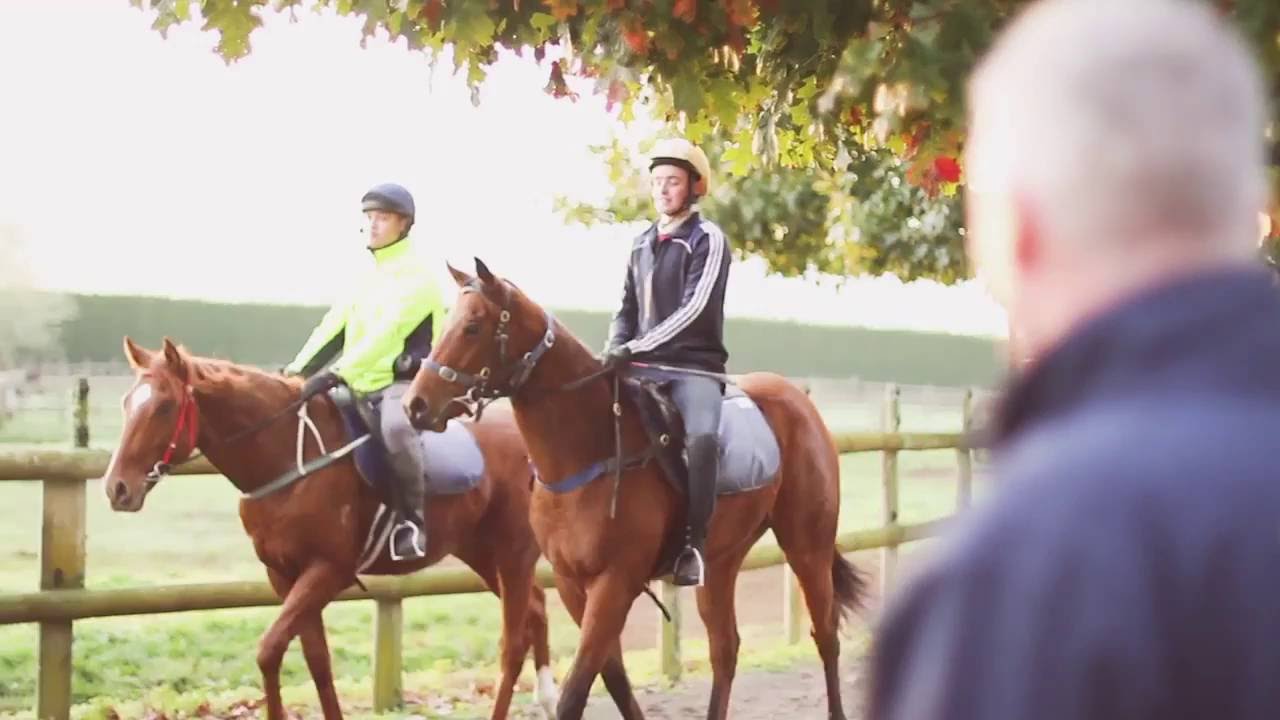 PrimaryITO - Knowledge Grows Everything - Profile Video