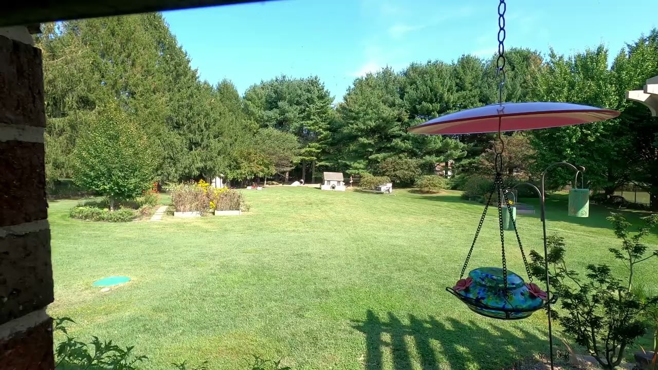 Chicken Coop Demolish Part 3 of 4.