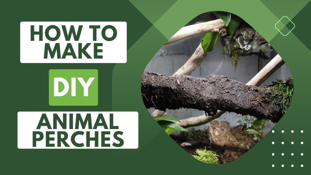 DIY Animal Perches
