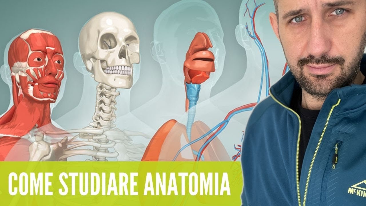 COME STUDIARE ANATOMIA: 6 consigli