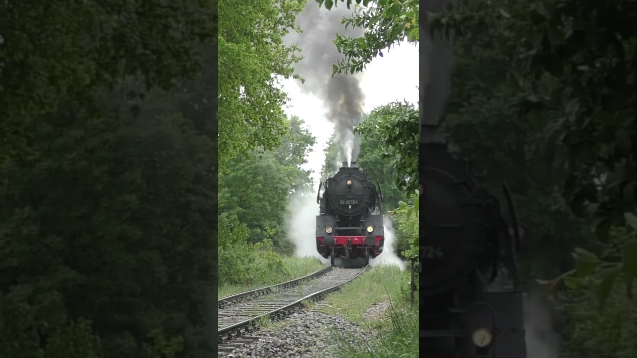 50 0072 bringt einen Holzzug nach Wilburgstetten