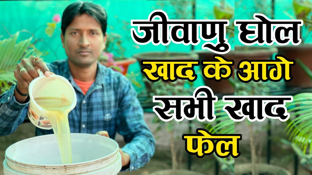 जीवाणु घोल खाद को एक बार प्रयोग करें बार-बार प्रयोग करना चाहेंगे || जैविक खाद बनाने का तरीका