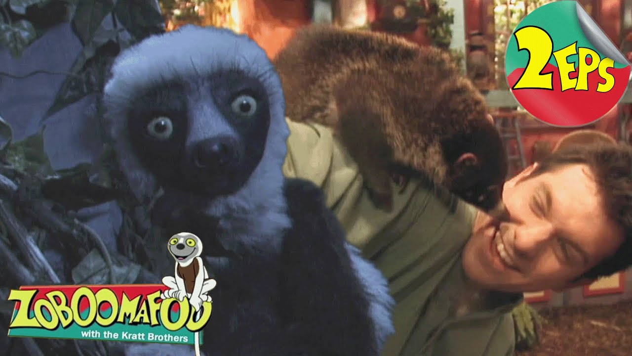 Night time + Climbing | Zoboomafoo - Double Feature | Full Episodes 09 + 10