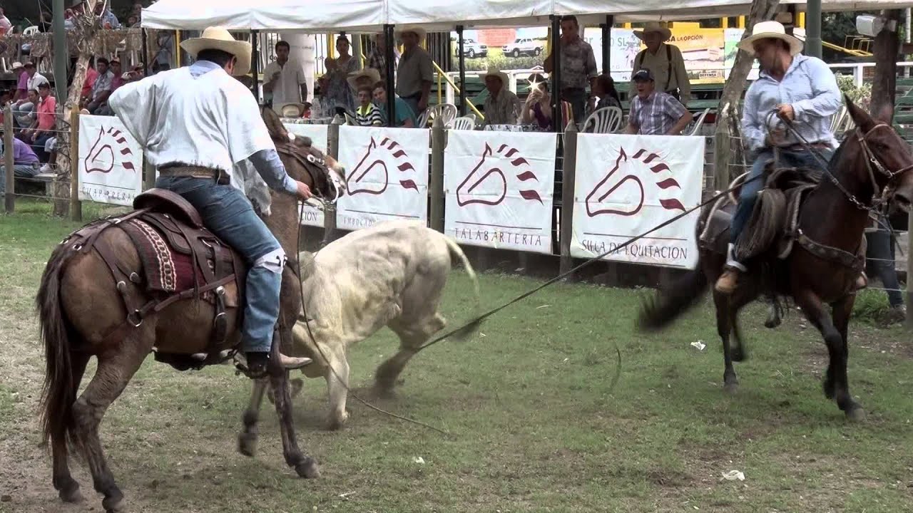 4 Solo Mulas Vaqueras 2015