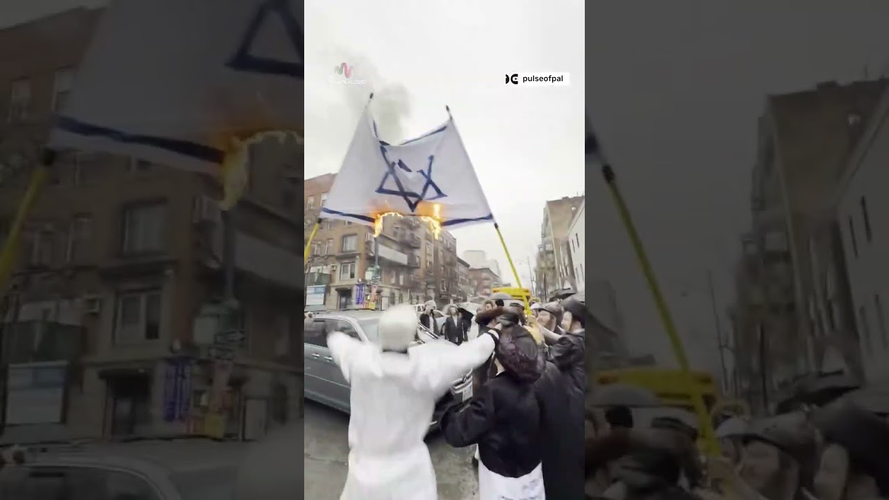 Anti-Zionist Jews Burn Israeli Flag.