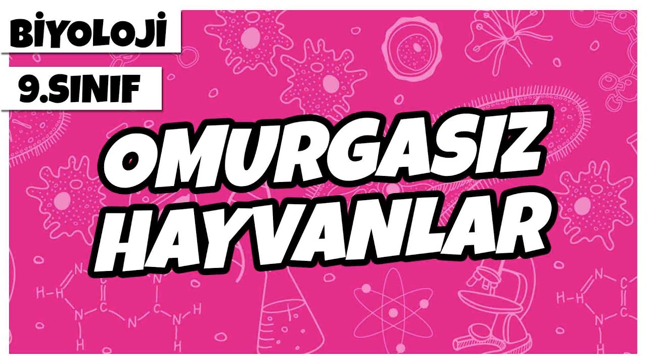 9. Sınıf Biyoloji - Omurgasız Hayvanlar