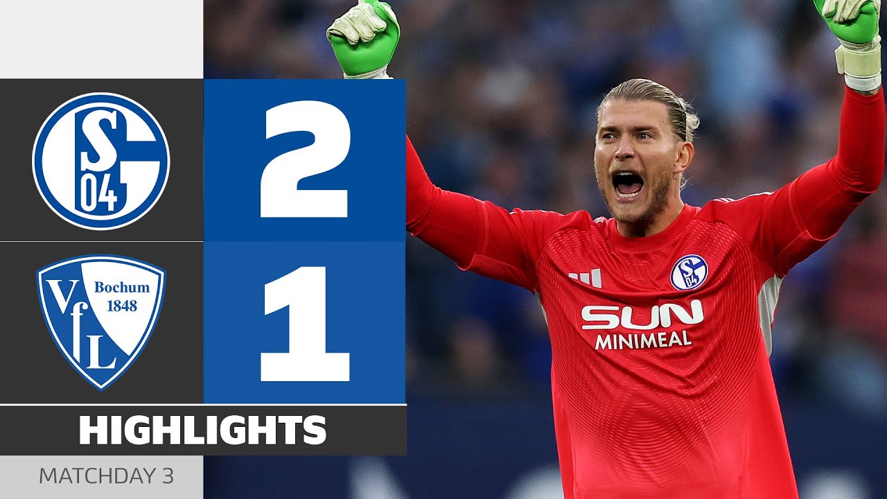 Schalke STRIKES BACK! | SCHALKE 04 - VFL BOCHUM | Highlights | Matchday 3 - Bundesliga 2