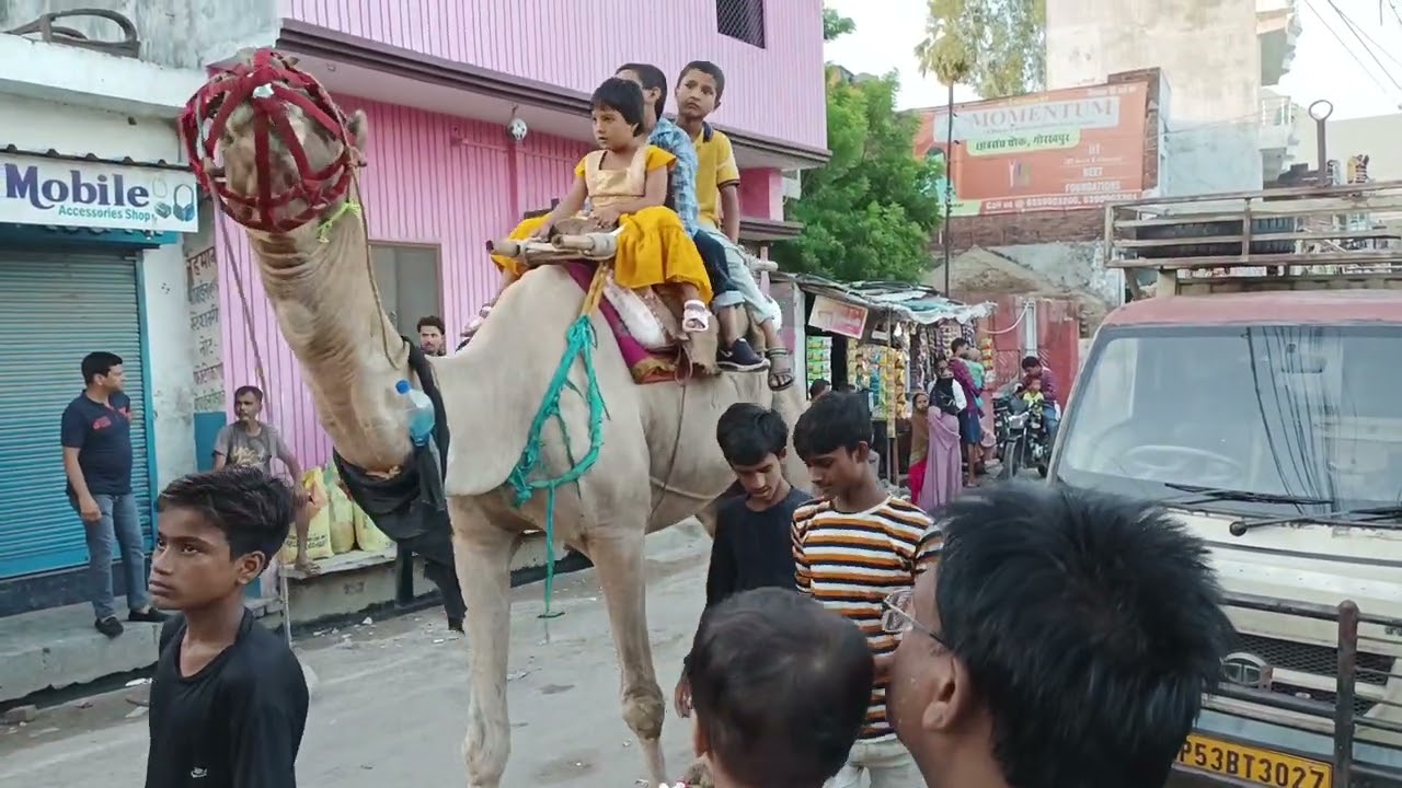 moharram julus beech tola gorakhpur 2022