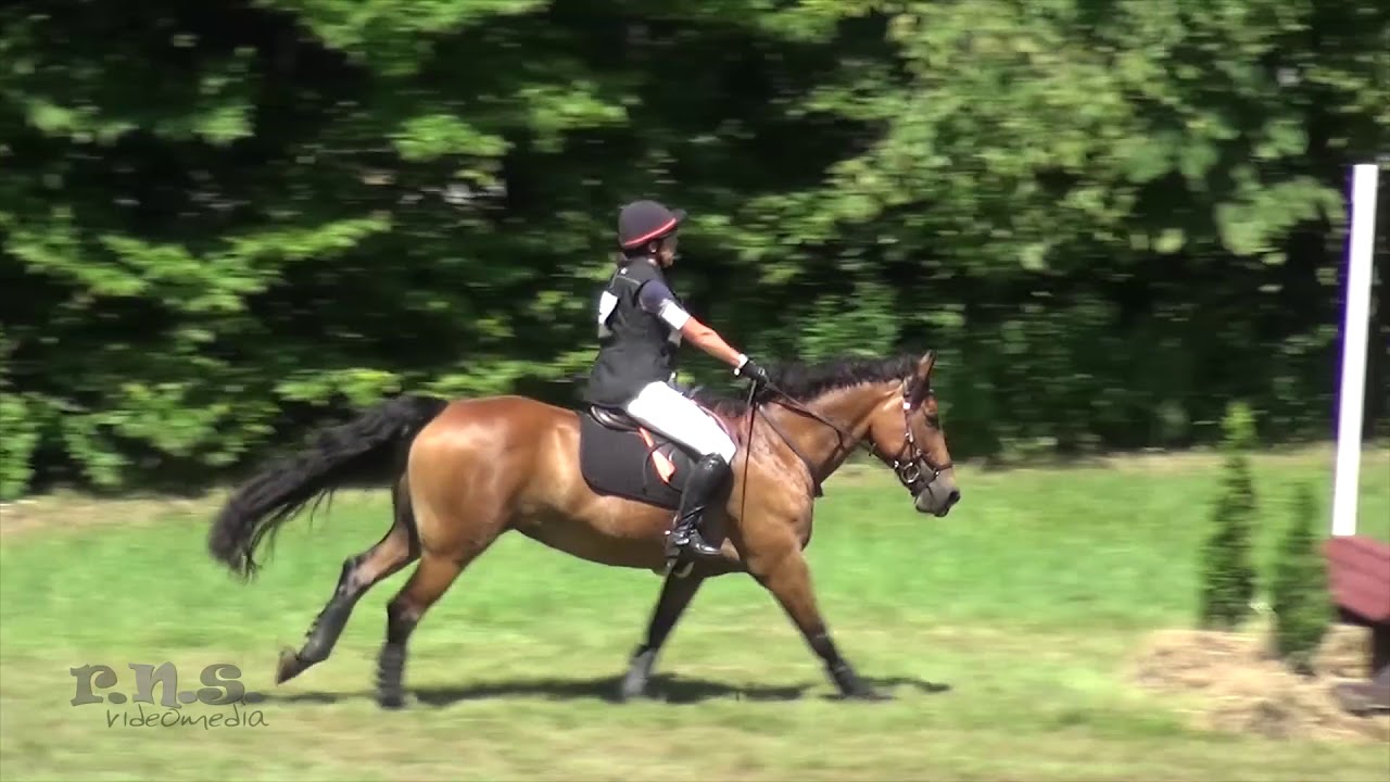 Kathleen Carrara & Hazen at GMHA Festival of Eventing 2018