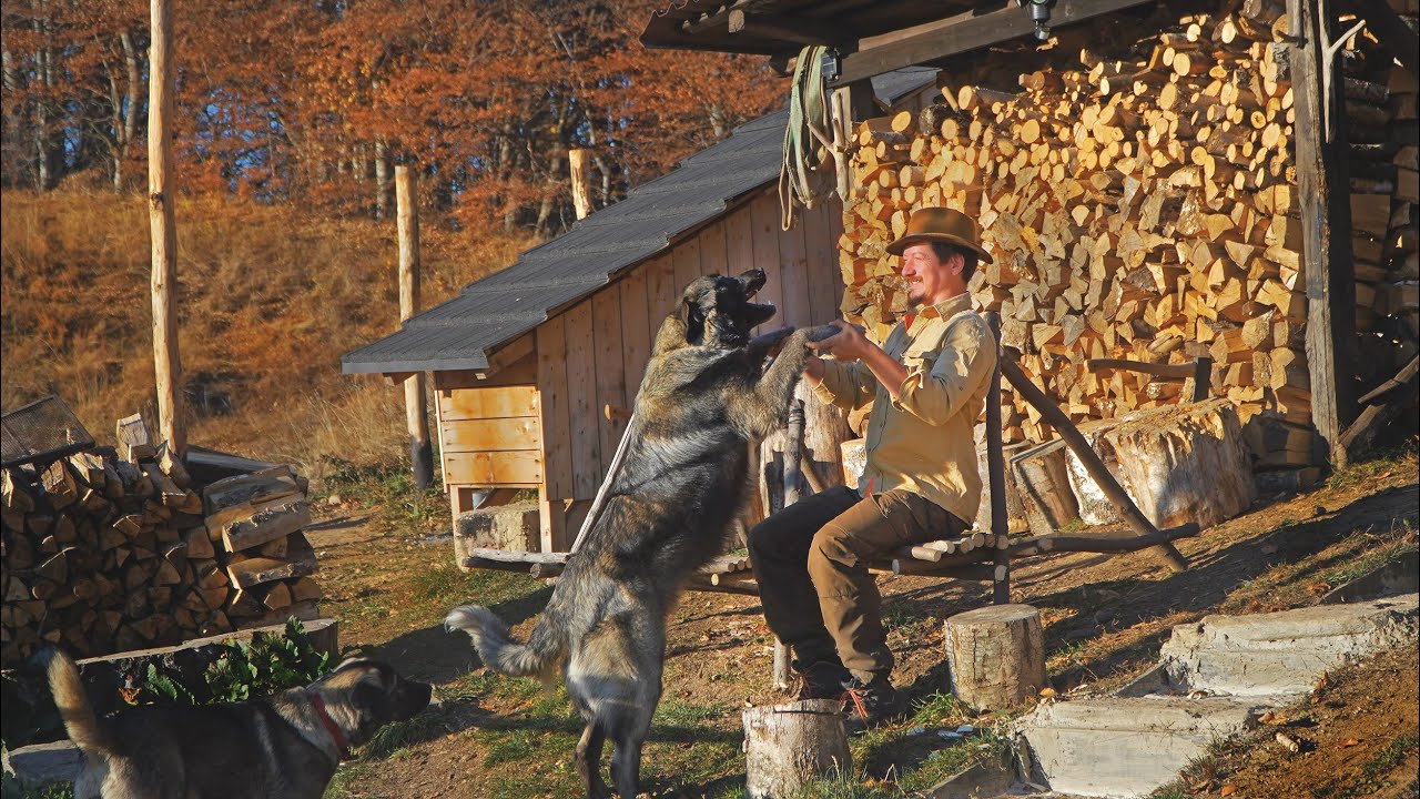 LOCUIESC OFF GRID ÎN ROMÂNIA | Ultimele Zile de Toamnă Izolat în Sălbăticie - ep164