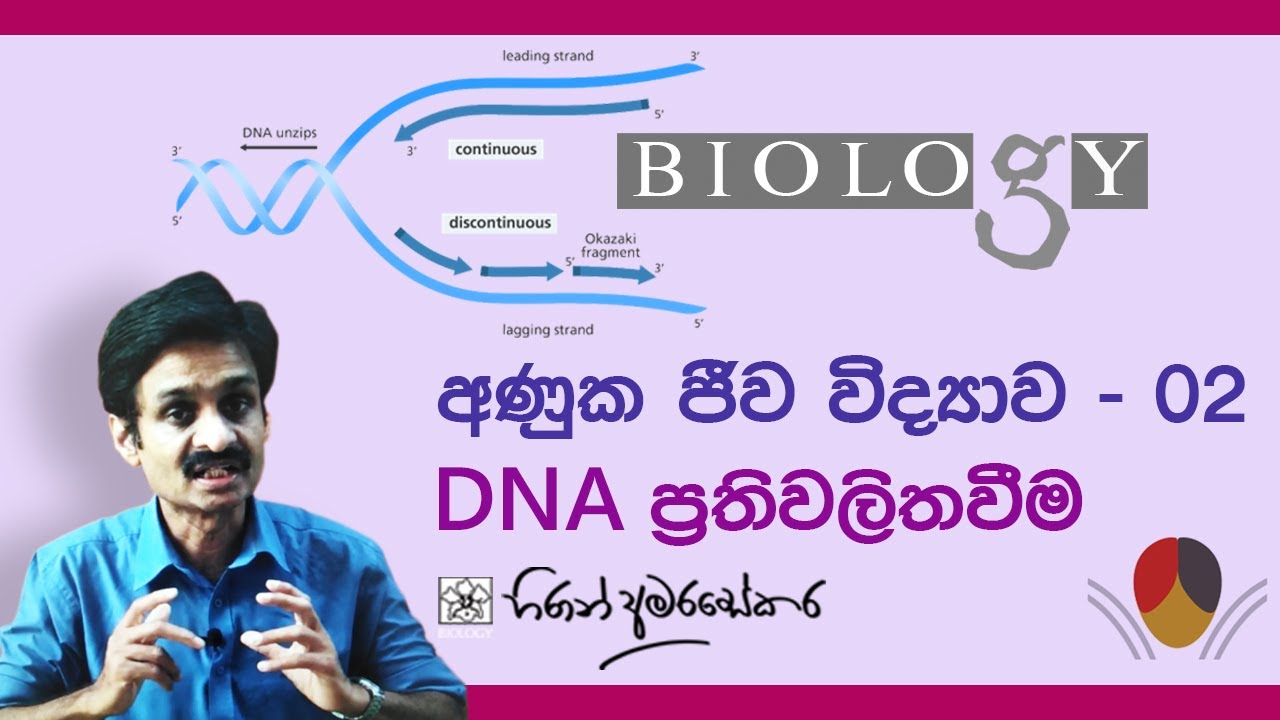 A/L Molecular Biology  - Lesson 2 DNA Replication ප්‍රතිවලිත වීම