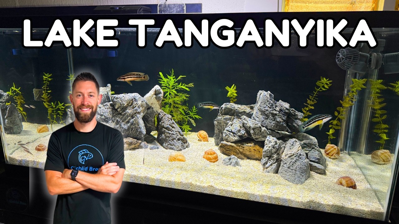 New 40 Gallon Cichlid Tank | A Lake Tanganyika Setup (Start-to-Finish)