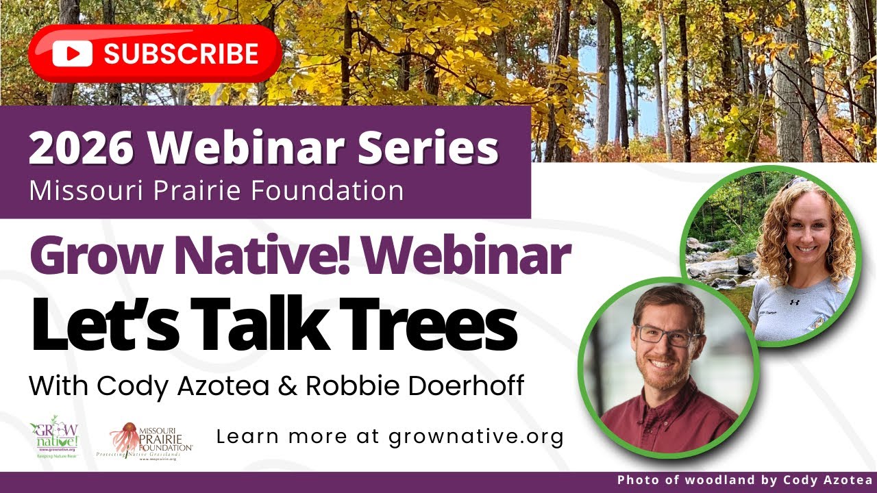 Grow Native! Webinar: Let’s Talk Trees