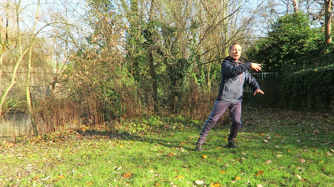Les Mains Nuages du Tai Chi