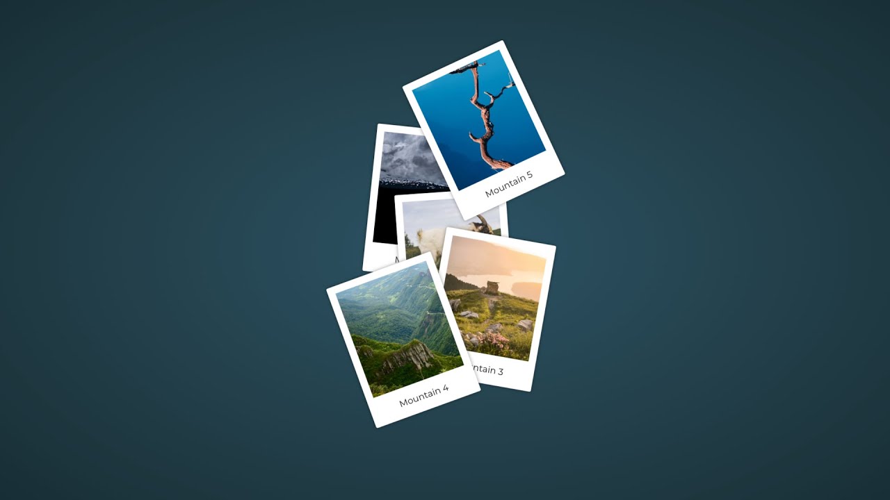 📸 Animowana galeria ze zdjęciami typu polaroid | CSS HTML | Fajny CSS
