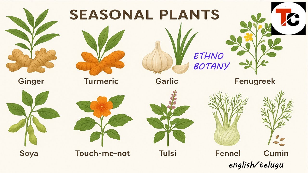 Seasonal Plants | Ethnobotany | General Science | APPSC FBO | NCERT | RRB | SSC |TELUGU | ENGLISH|
