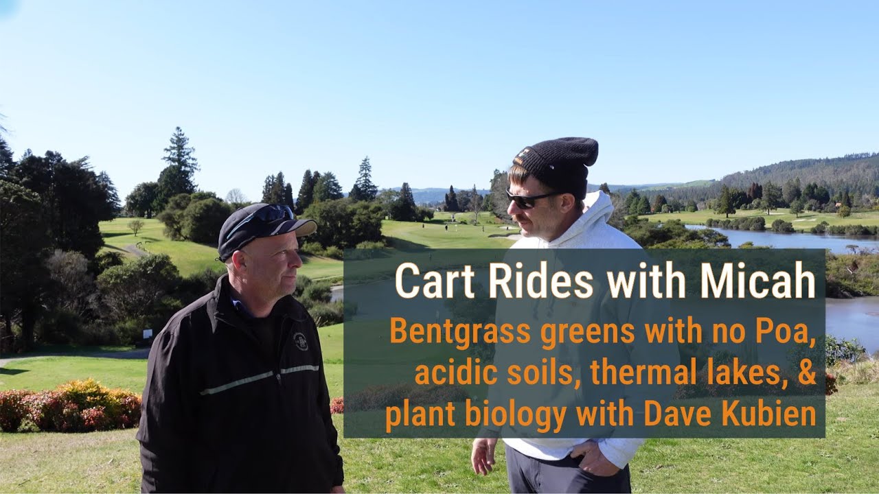 Browntop bentgrass greens with no Poa at Rotorua GC with Dave Kubien