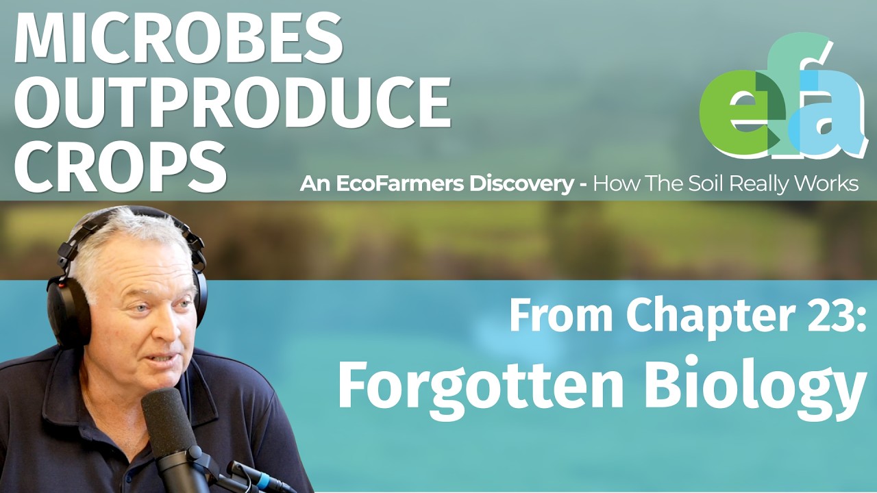 The Soil Microbes That Outproduce Your Pasture