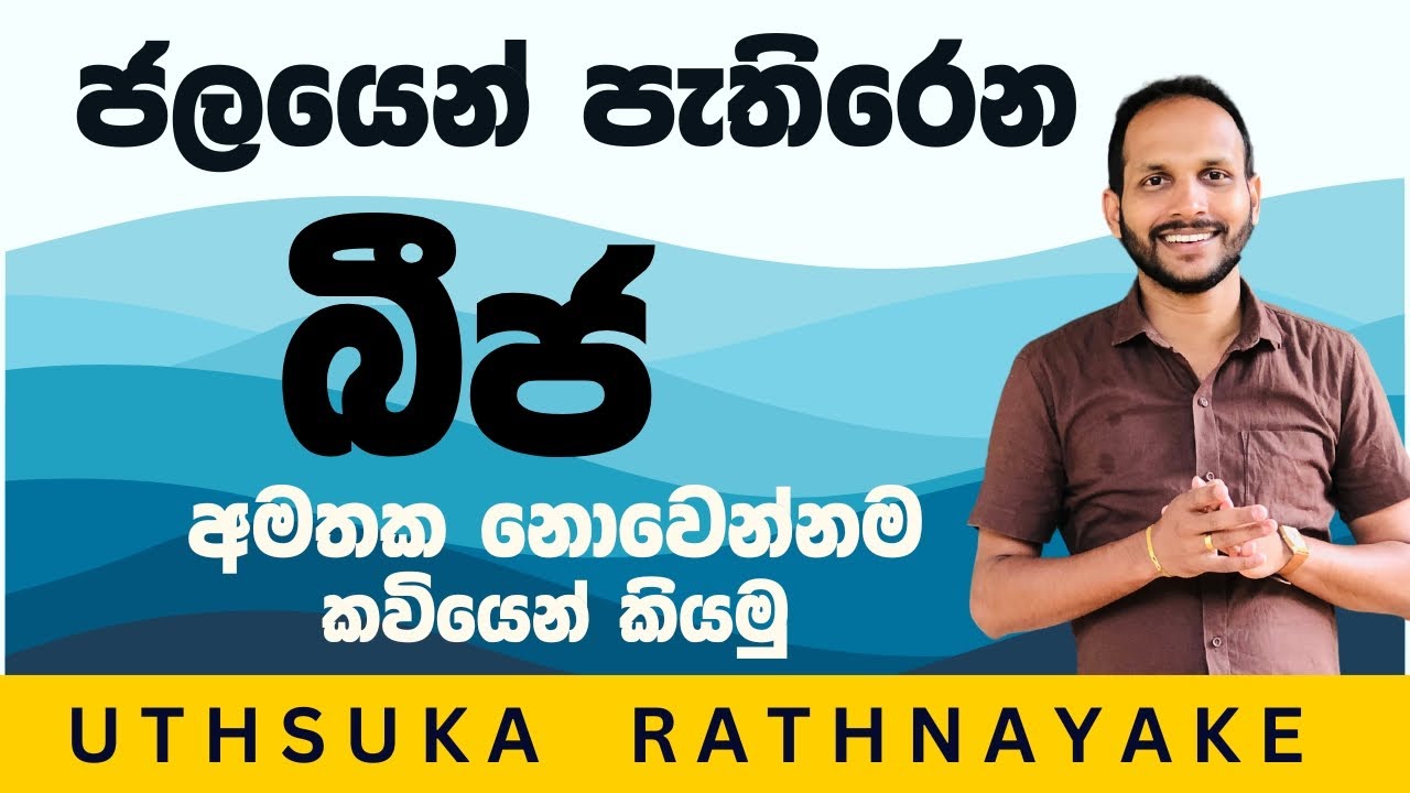 ජලයෙන් ව්‍යාප්ත වන බීජ මතක තියාගන්නේ මෙහෙමයි | ශිෂ්‍යත්වය | Uthsuka Rathnayake