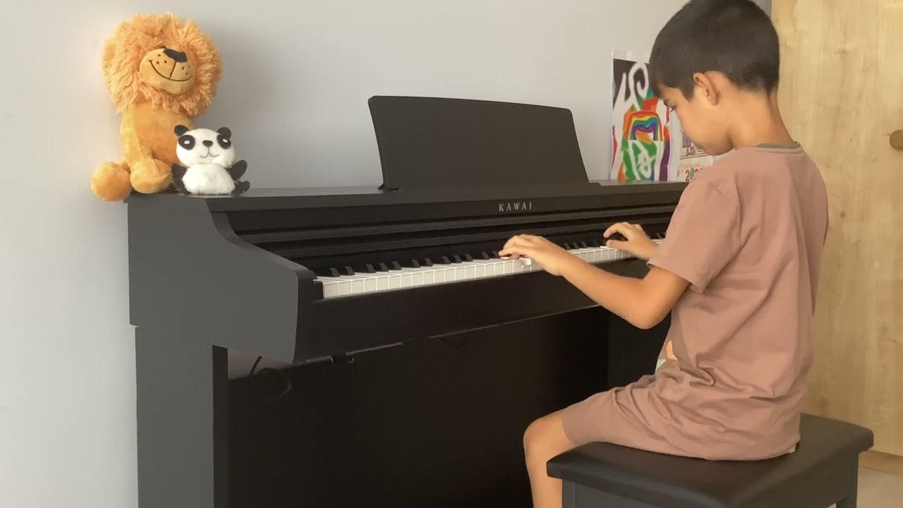 The Entertainer - Yiğit Arıtürk