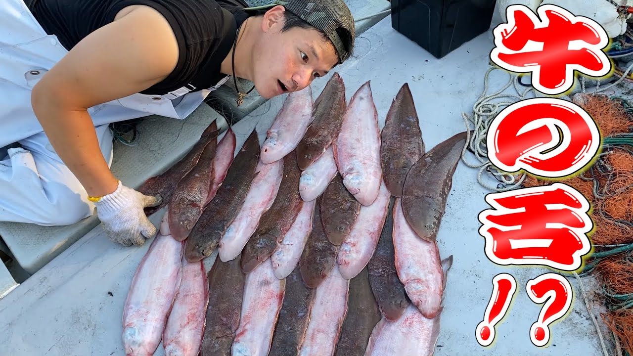 牛の舌と言われる魚を大量捕獲！見た目は地味だが◯◯にするとクッソ美味いんです...