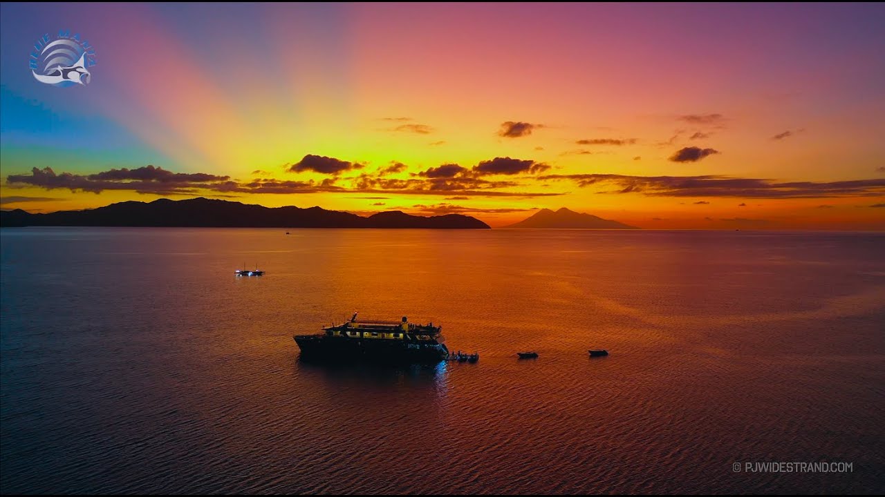 Komodo Diving Highlight Video 2023