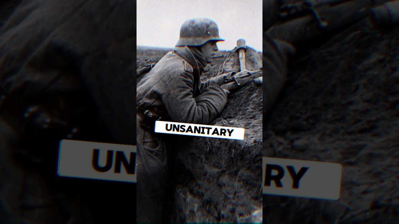 What German habits shocked American soldiers?
