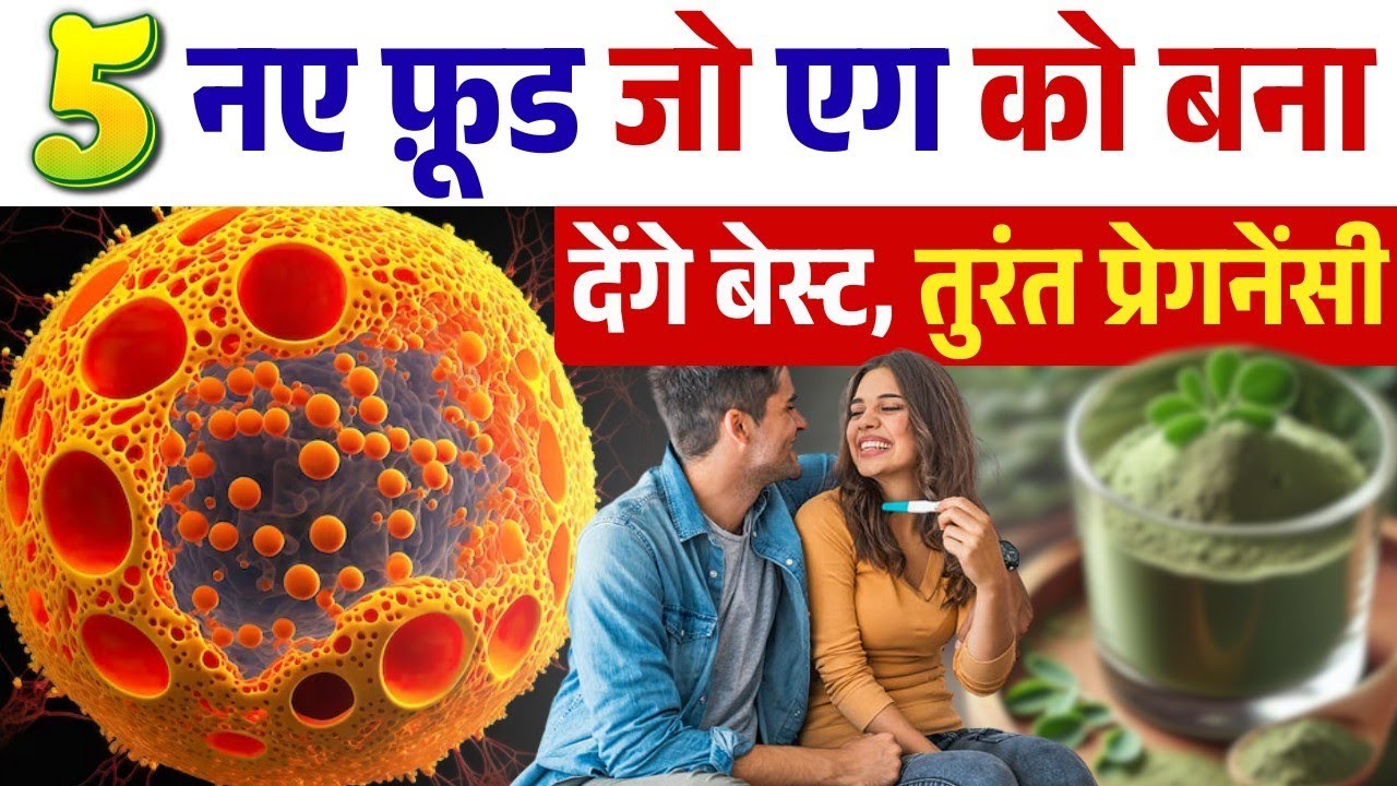 Best Egg Quality के लिए 5 नए Foods तुरंत रुकेगी प्रेग्नेंसी चाहे जो भी कारण हो।